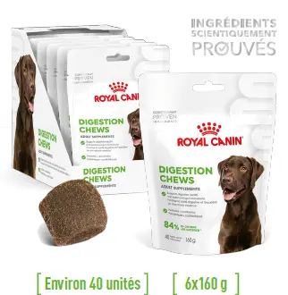 [J25030149] Supplément pour chien adulte digestion (sachet 160 g) - Royal Canin