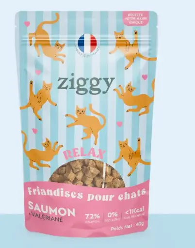[J25040002] Friandises chat RELAX Saumon & Valériane (40 g) - Ziggy