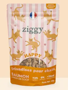 [J25040003] Friandises chat HAPPY Saumon & Coco (40 g) - Ziggy