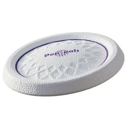 [J25040109] Gigwi frisbee ultra résistant (22 cm) - Bubimex