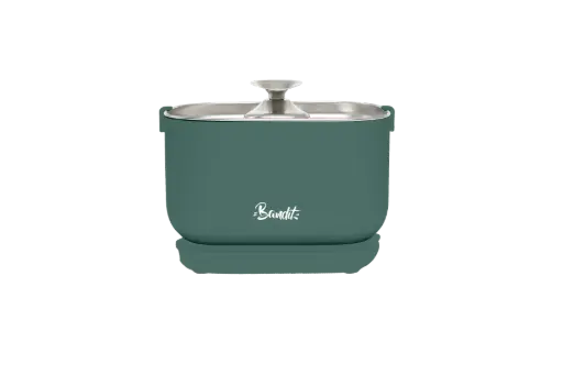 [J25050105] Fontaine à eau avec fil vert - Bandit