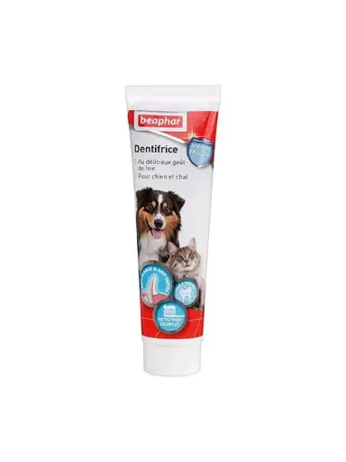 [J25080001] Dentifrice goût foie chien et chat (100 g) - Beaphar