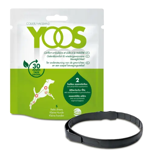[J25090428] Yoos collier petit chien - Ceva