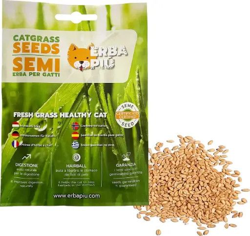 [J25090459] Graines herbe à chat (40 g) - Erba Più