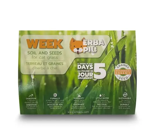 [J25090460] Kit complet herbe à chat week - Erba Più
