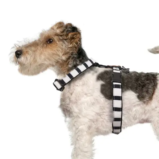 Harnais Naval - Milk&Pepper