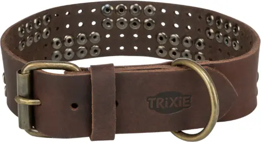 Collier en cuir rustique avec rivets - Trixie